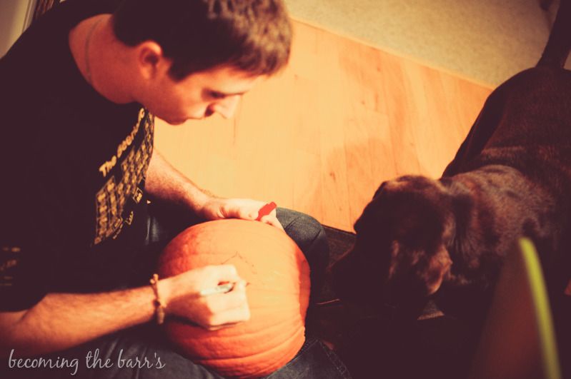 dog helping to carve a pumpkin