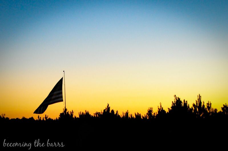 flag silhouette