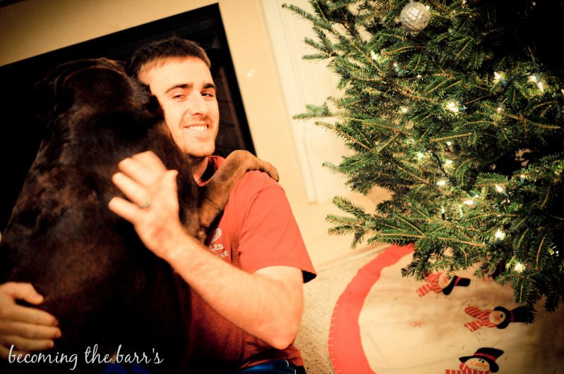 dog by the christmas tree