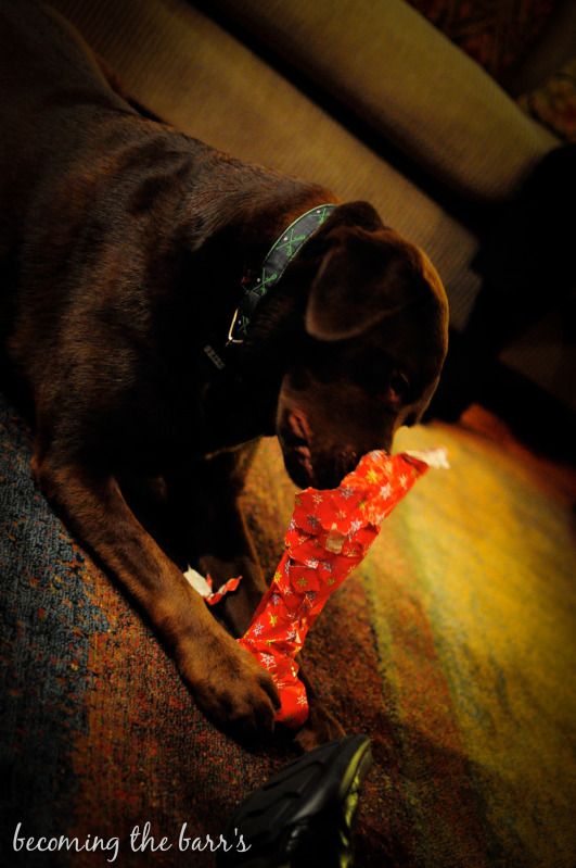 puppy christmas presents