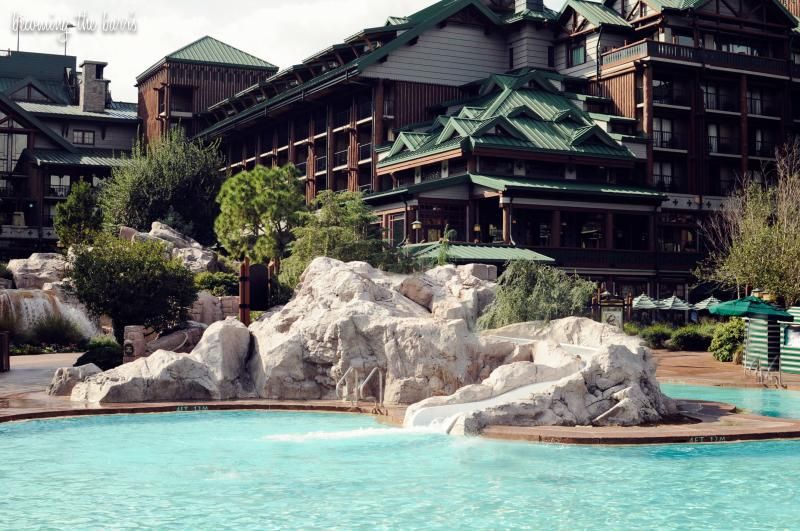 wilderness lodge pool photos