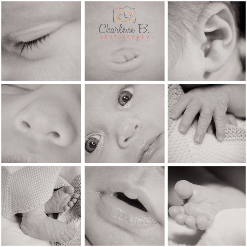 newborn detail photos