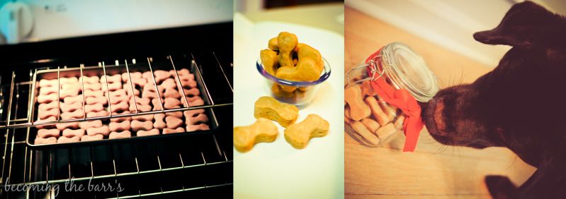 homemade dog treats