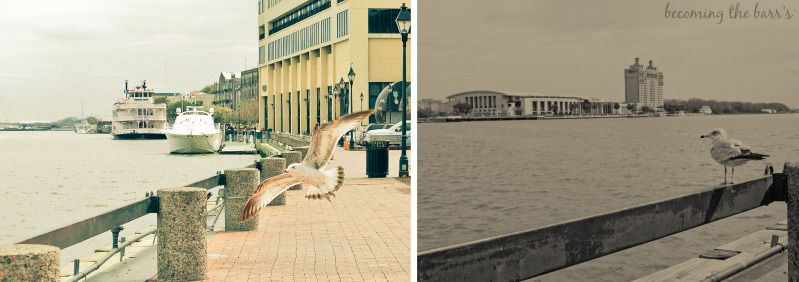 savannah river street area photographs