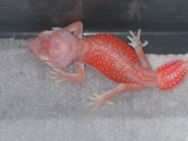 DSCN3922.jpg