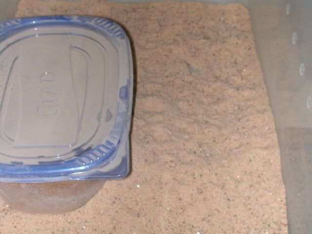 DSCN4034.jpg