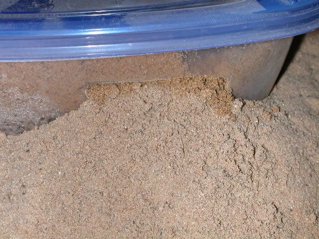 DSCN4038.jpg