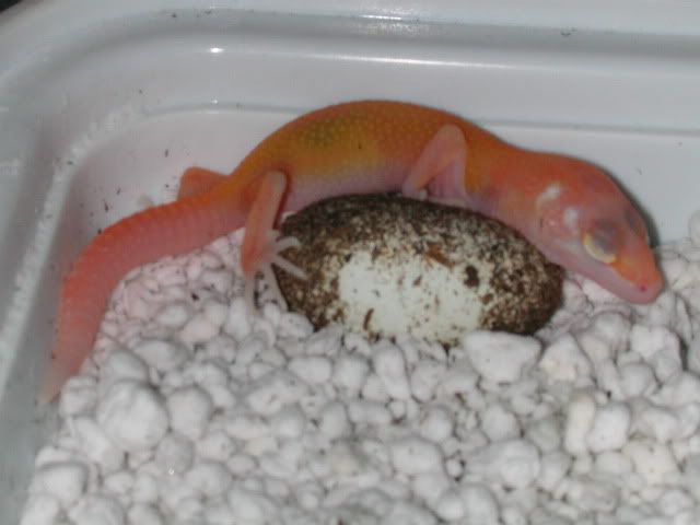 DSCN4966.jpg