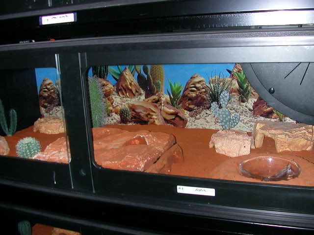 DSCN6917.jpg