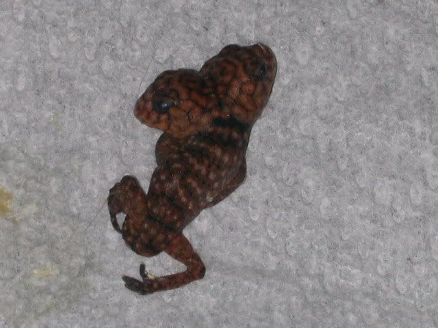 DSCN7149.jpg