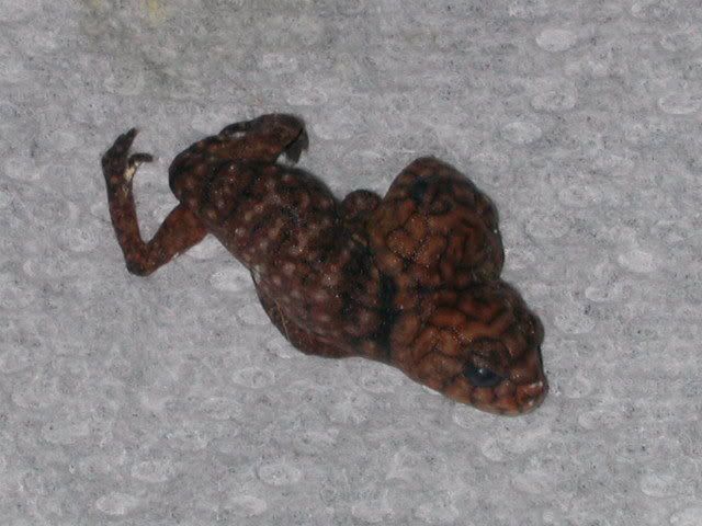 DSCN7150.jpg