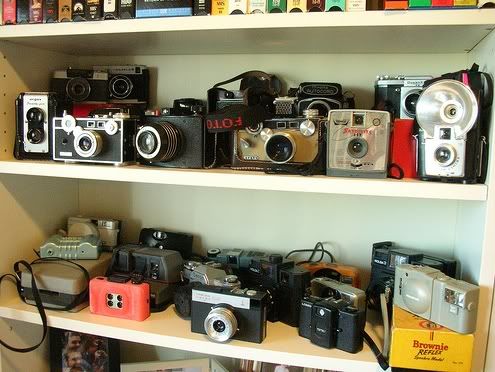 A Photograph of all the photography Pictures, Images and Photos