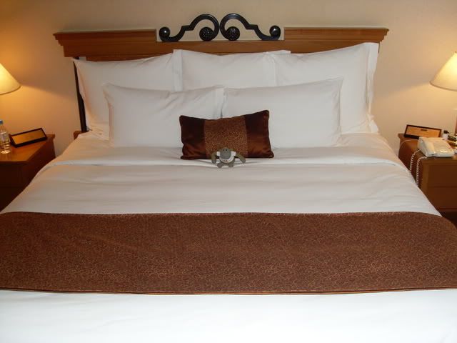 Thehotelisquitespacious18.jpg