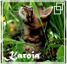 karoia Avatar