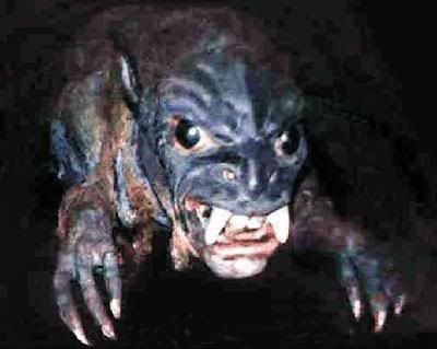 What kind of tracks are these? - Homesteading Questions