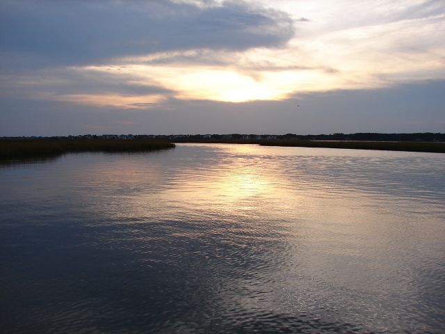 Posted Image