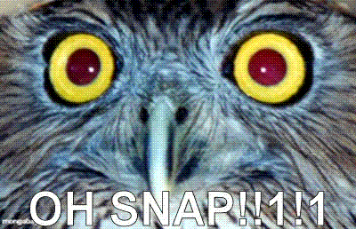 OH SNAP! (OWL)