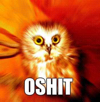 OSHIT