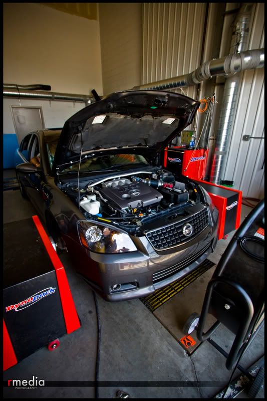 http://img.photobucket.com/albums/v356/ragerman/dyno%20day/p09.jpg