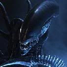 xenomorph.jpg