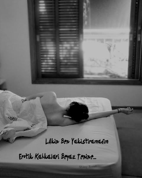 would you like to be my muse   by W