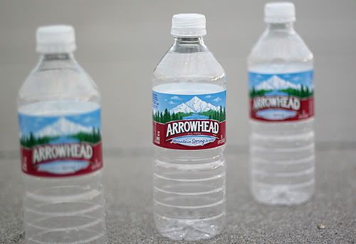 IMAGE: http://img.photobucket.com/albums/v357/greg9683/Photo%20Examples/IMG_80571_4.jpg