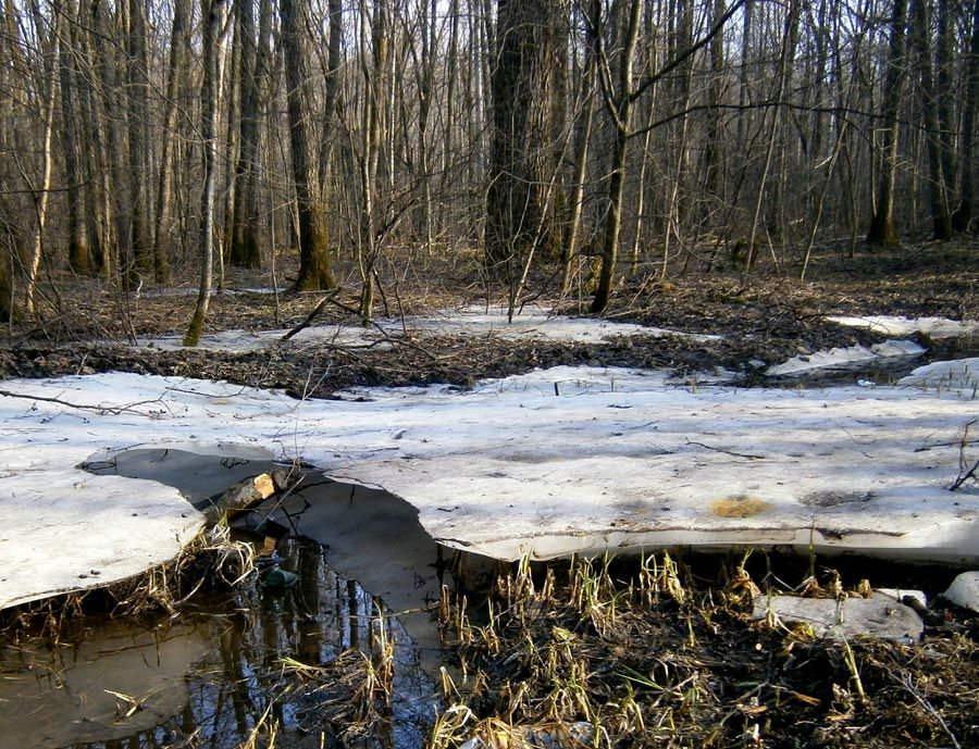  photo 01_ice_zps1fe115d1.jpg