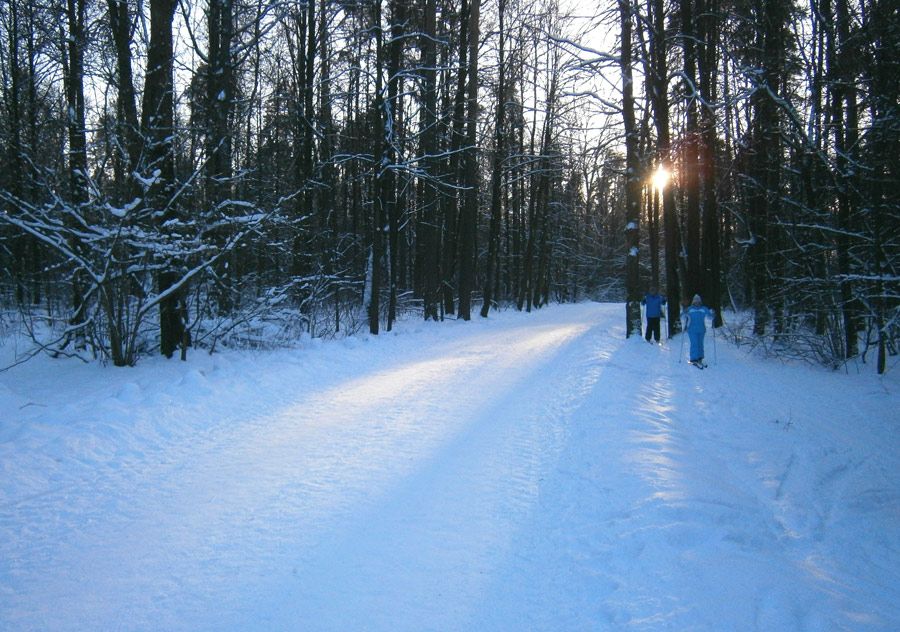  photo 01w_zps46dcdd49.jpg