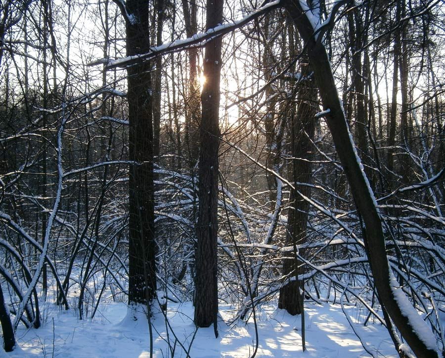  photo 02w_zps8869be5c.jpg