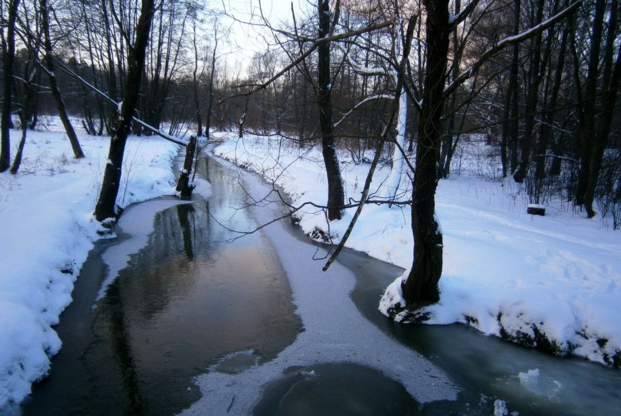  photo 11w_zps649ae5b2.jpg