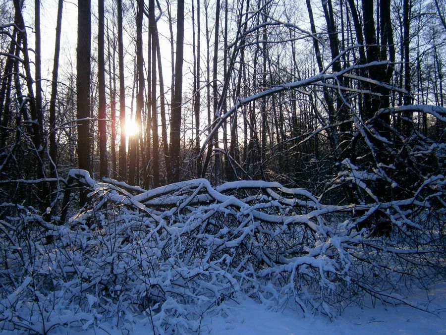  photo 12w_zps1e6a58b2.jpg