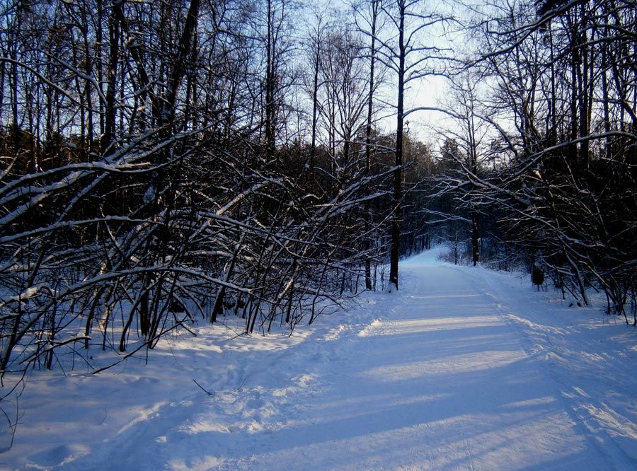  photo 13w_zpseb531634.jpg