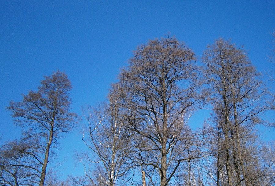  photo Spring-05_zps97f9fec3.jpg