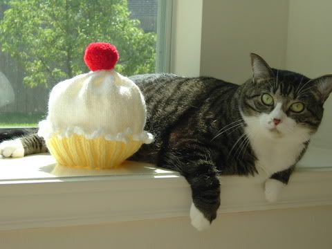 I want a REAL cupcake, says Scout