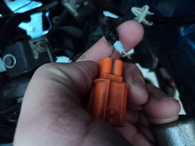 Must Read If You Want DIY Wiring!!! | Page 2 | Honda / Acura K20a K24a