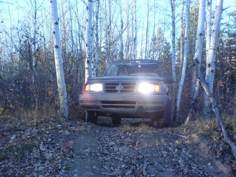 IMAGE: http://img.photobucket.com/albums/v358/LowriderS10/Sunrunner/DSC01060.jpg