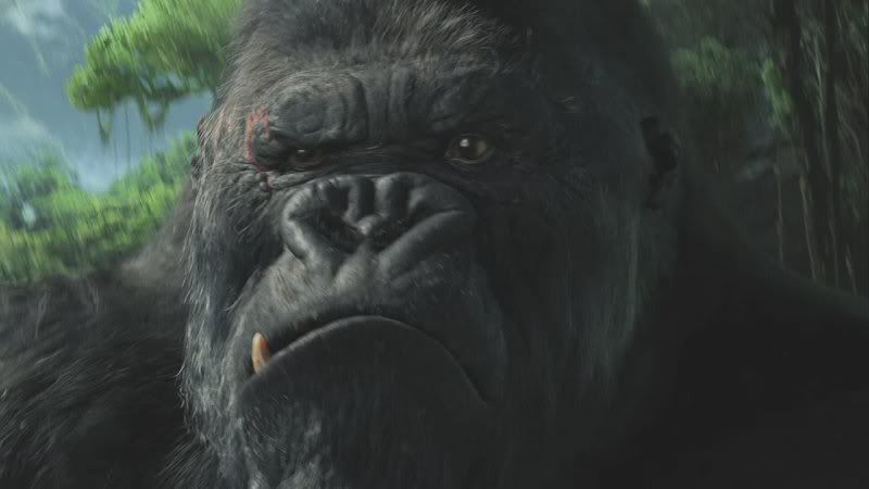 kong1.jpg