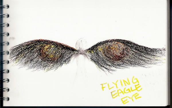 Flying Eagle Eye
