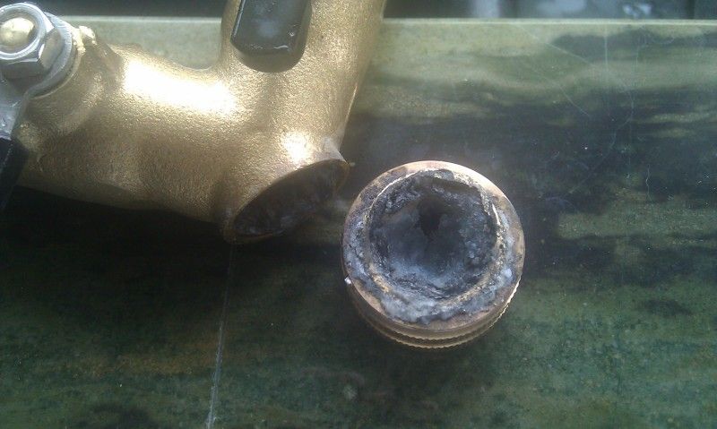 IMAG0179.jpg
