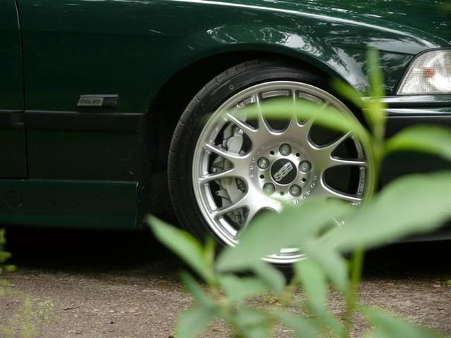 britishracinggreen.jpg