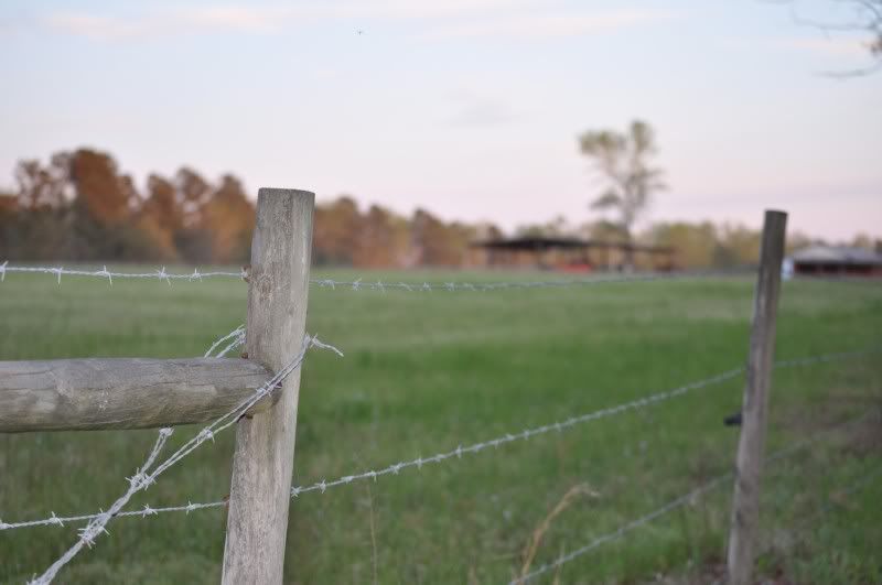 Pasture.jpg