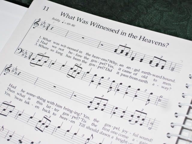 What Was Witnessed in the Heavens?
