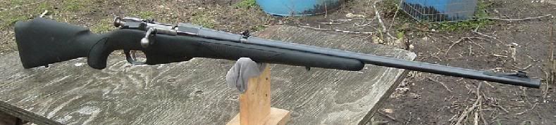 220swiftmosin4.jpg