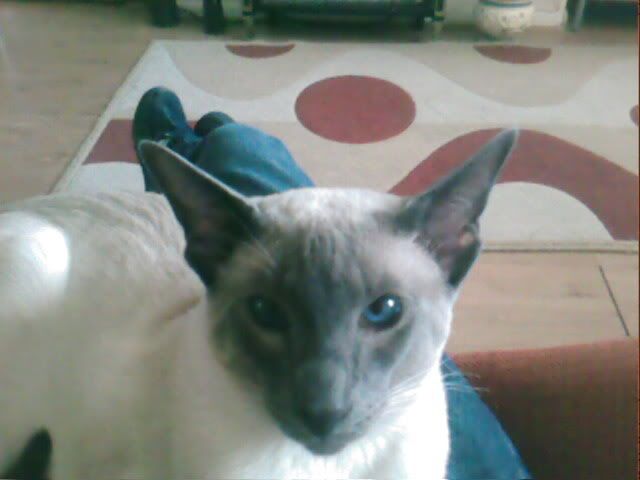 IMG001.jpg