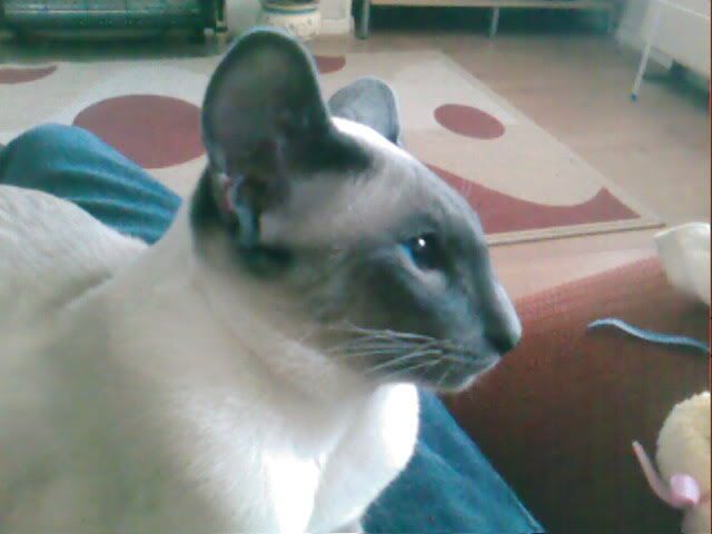 IMG003.jpg