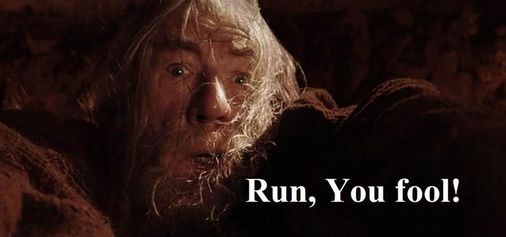 gandalf_falling_zpsd555cee0.jpg