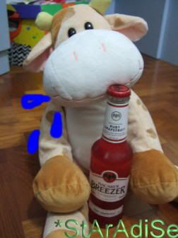 Image hosted by Photobucket.com