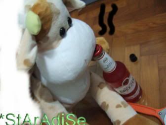 Image hosted by Photobucket.com