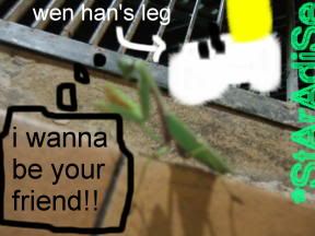 Image hosted by Photobucket.com