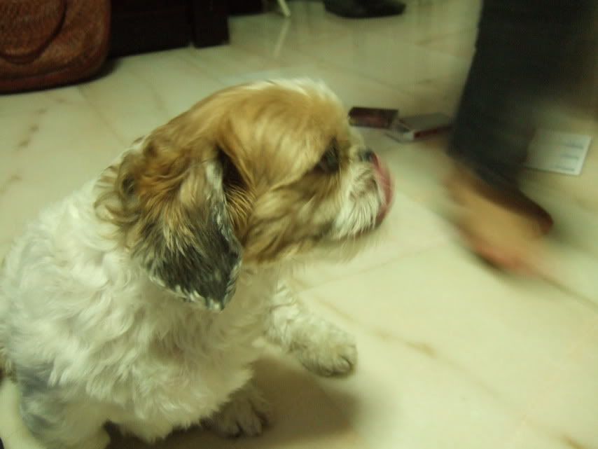 Image hosting by Photobucket